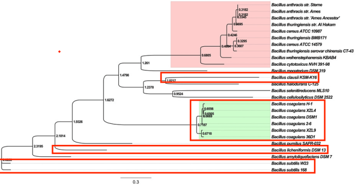 Genetic Distance Apart