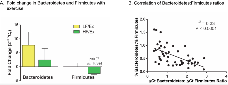 Screen Shot 2015-12-19 at 4.19.53 PM