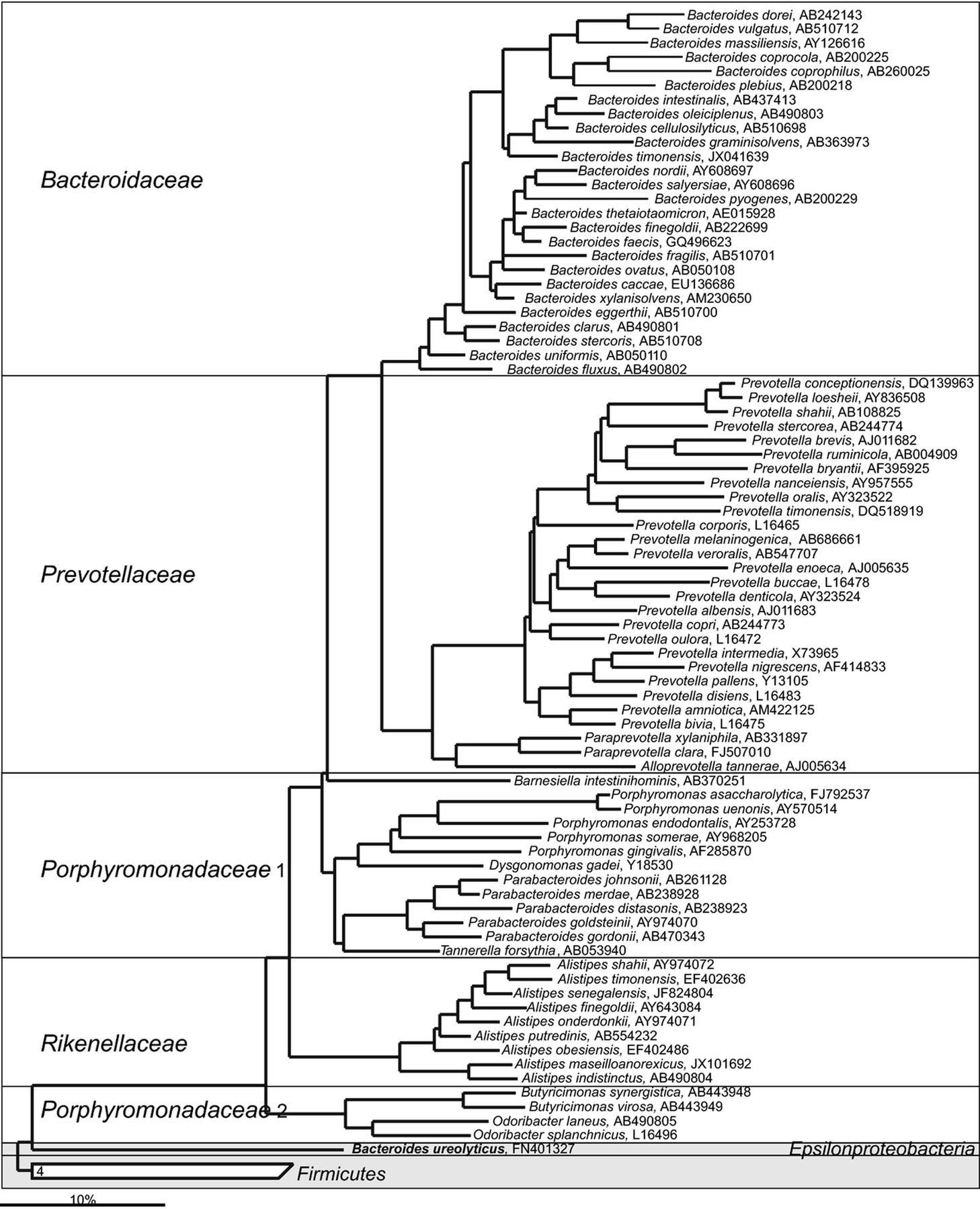 A Review of how little we know about gut bacteria | CFS Remission