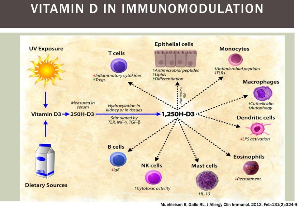Vitamin D and the Microbiome | CFS Remission