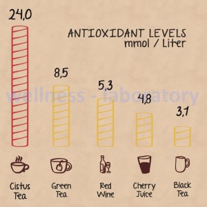 wellness-p2-small-300x300