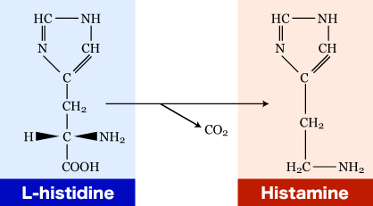 histamine_01