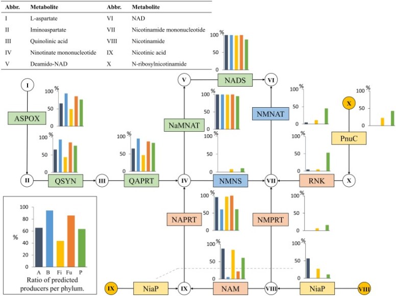 fgene-06-00148-g0004