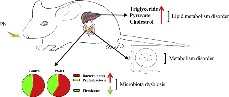 1-s2-0-s0048969718308003-fx1_lrg